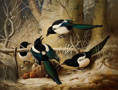 Magpies round dead female capercaillie. poster print