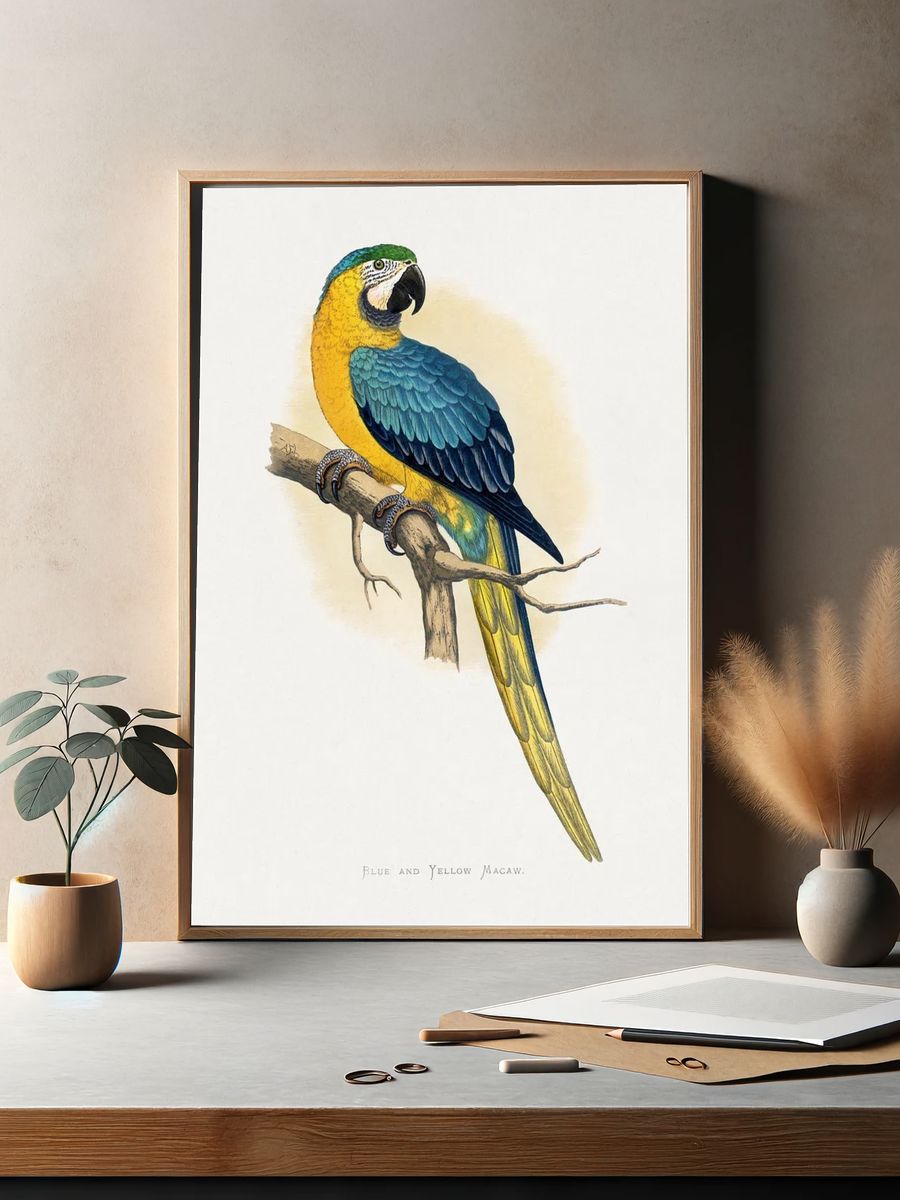 Blue Yellow Macaw by Alexander Francis Lydon — Print. — room view 2