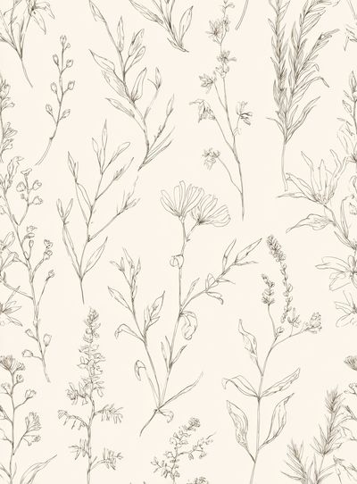 Botanical Line Art Poster. poster