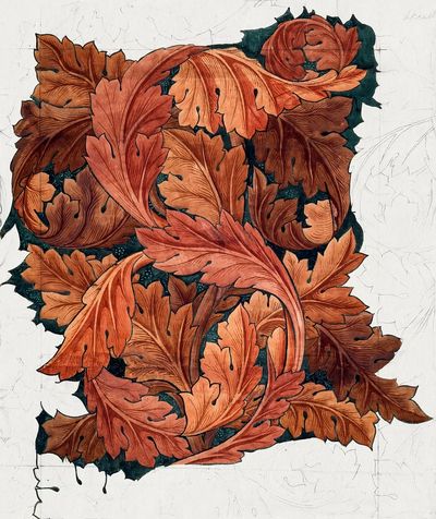 Autumn Leaves Botanical Poster. poster print