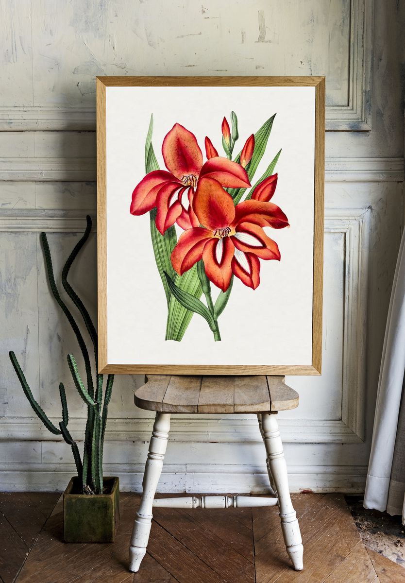 Vibrant Orchid Botanical Print. — room view 1