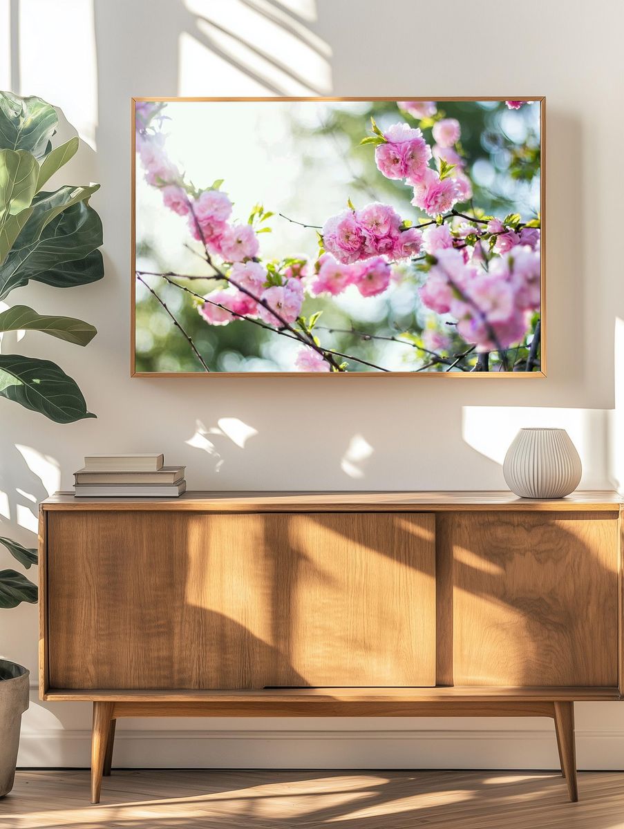 Pink Cherry Blossoms Photography Poster. — room view 3