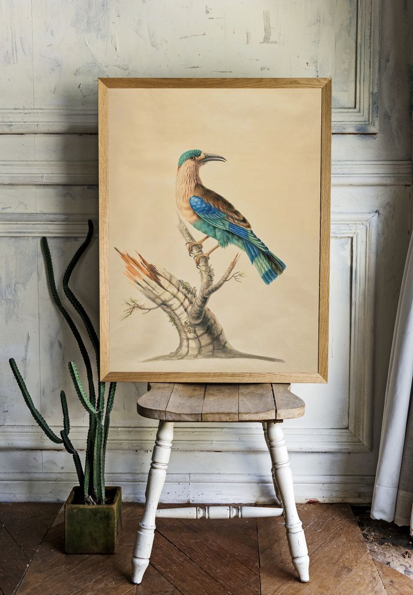 Blue-Tailed Bird Botanical Print. — room view 1
