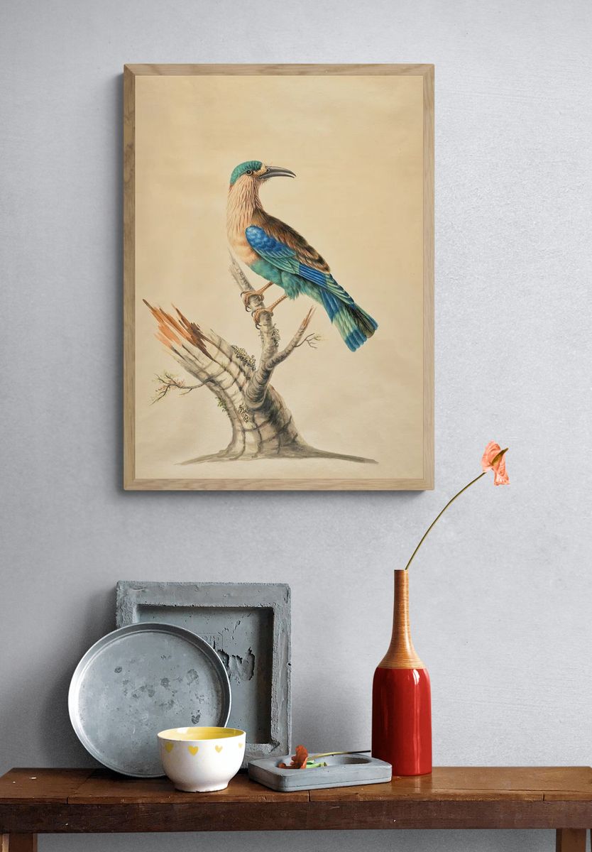 Blue-Tailed Bird Botanical Print. — room view 3