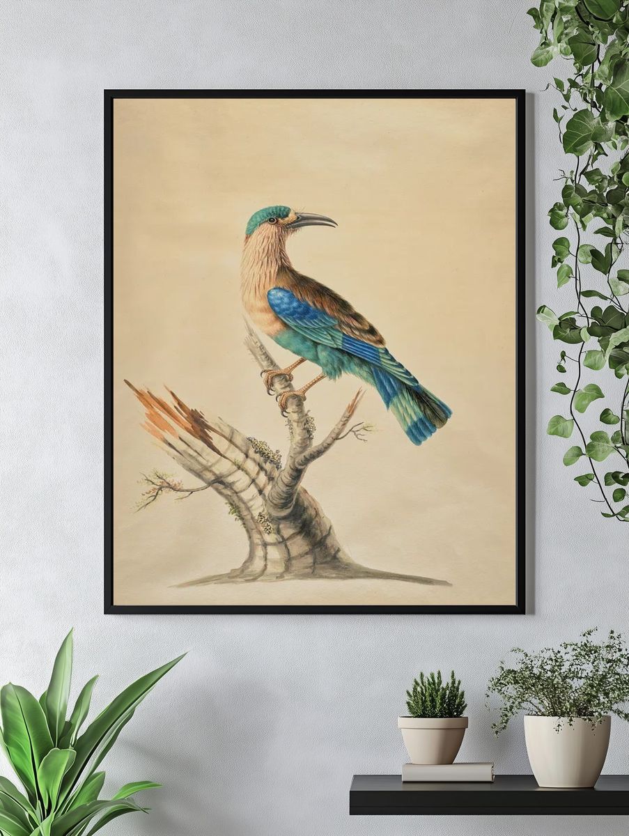 Blue-Tailed Bird Botanical Print. — room view 4
