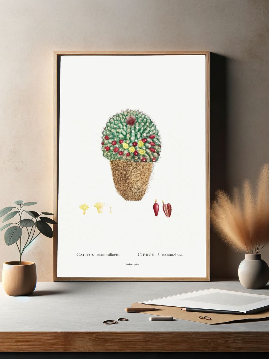 Cactus Mammillaris Botanical Print. — room view 2