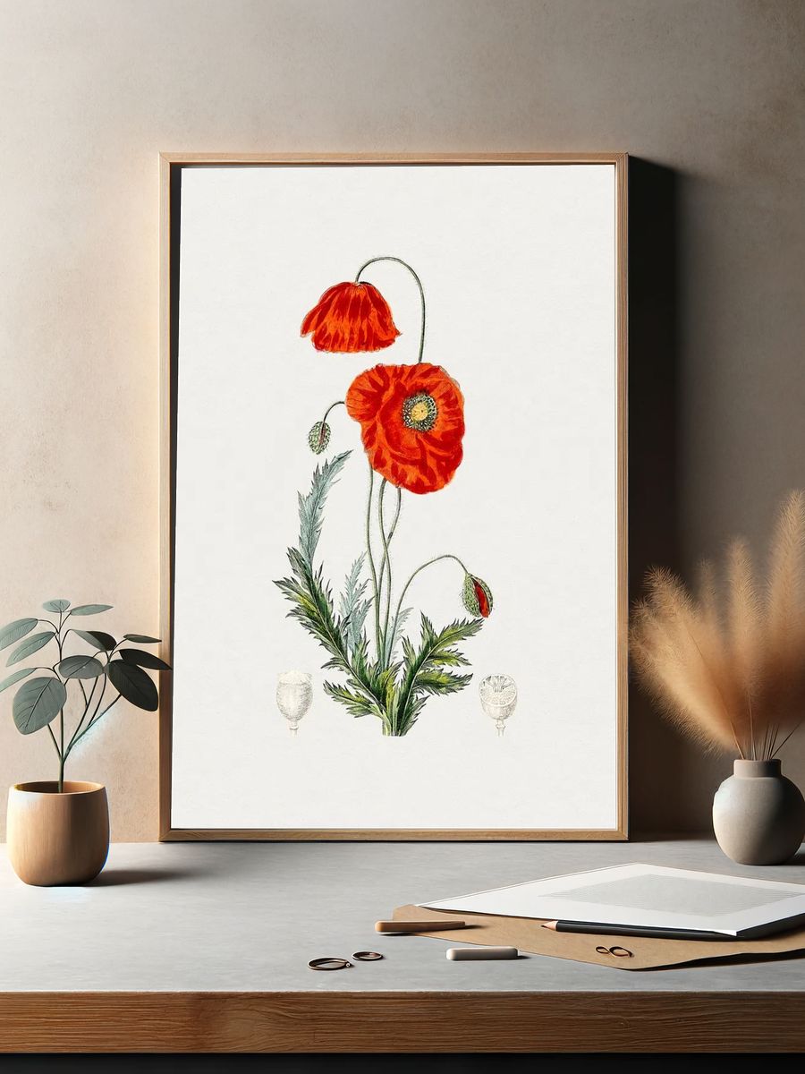 Hand drawn red poppy. Original. — room view 2