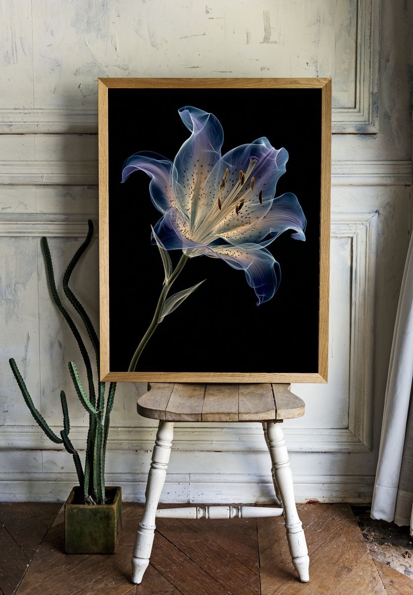 Translucent Lily Botanical Print. — room view 1