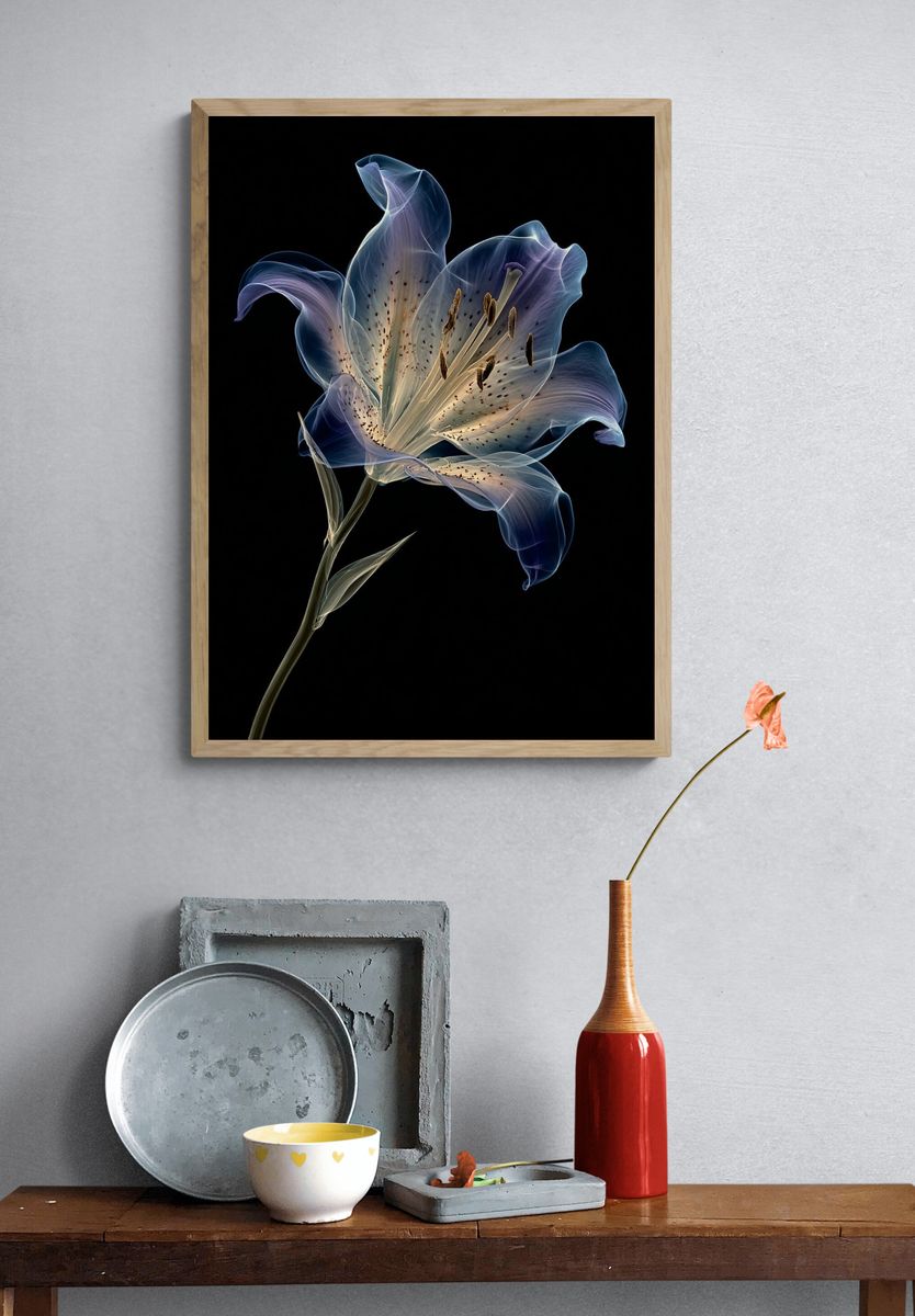 Translucent Lily Botanical Print. — room view 3