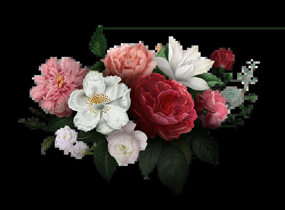 Beautiful hand drawn various roses. poster detail