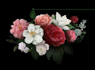 Beautiful hand drawn various roses. poster print