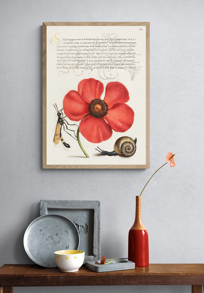 Terrestrial Mollusk, Poppy Anemone, Crane. — room view 3