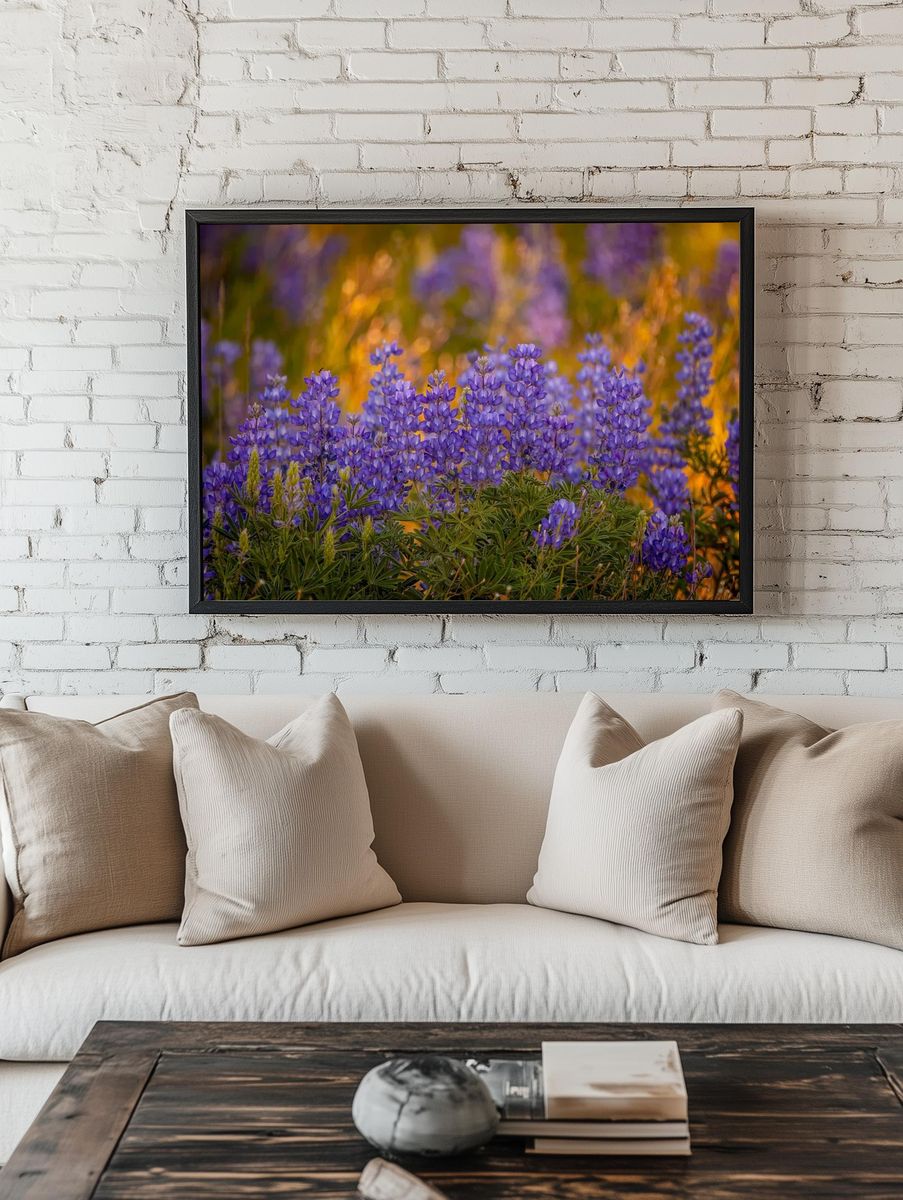 Purple Lupine Meadow Nature Print. — room view 1