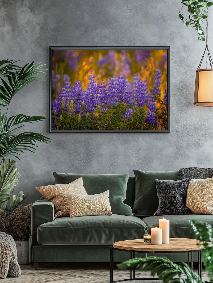 Purple Lupine Meadow Nature Print. — room view 4