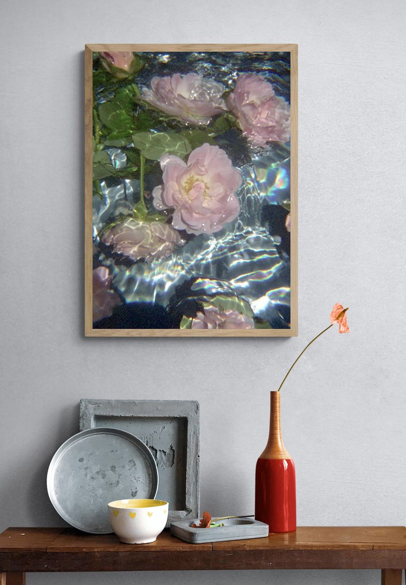 Floating Pink Roses Abstract Print. — room view 3