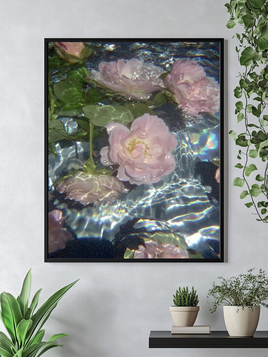 Floating Pink Roses Abstract Print. — room view 4