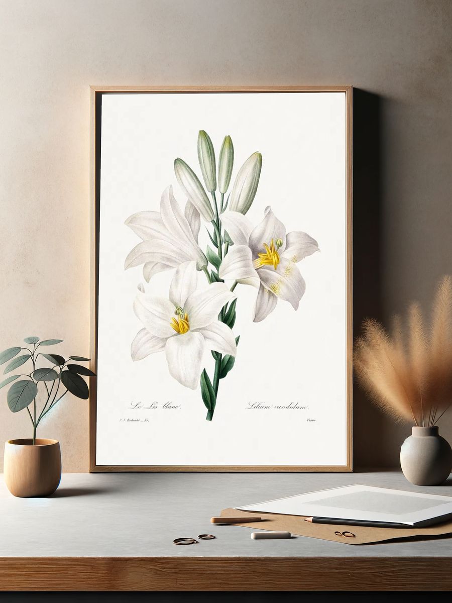 Madonna Lily Choix des plus. — room view 2