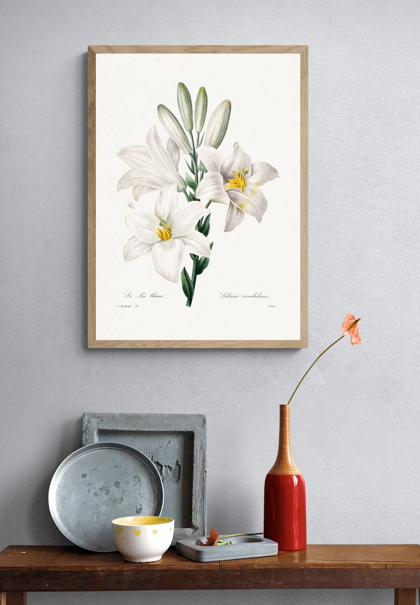Madonna Lily Choix des plus. — room view 3