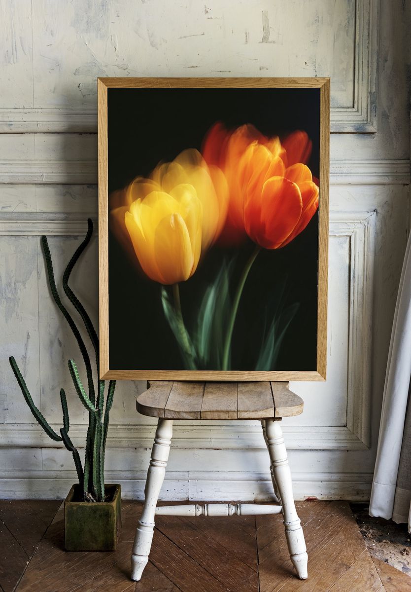Blurred Tulips Botanical Print. — room view 1