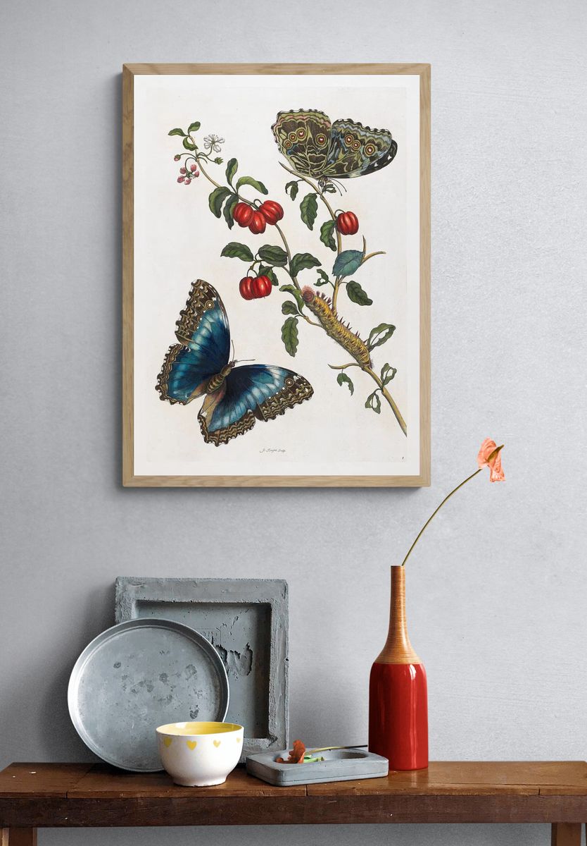 Butterfly and Botanical Study Print. — room view 3