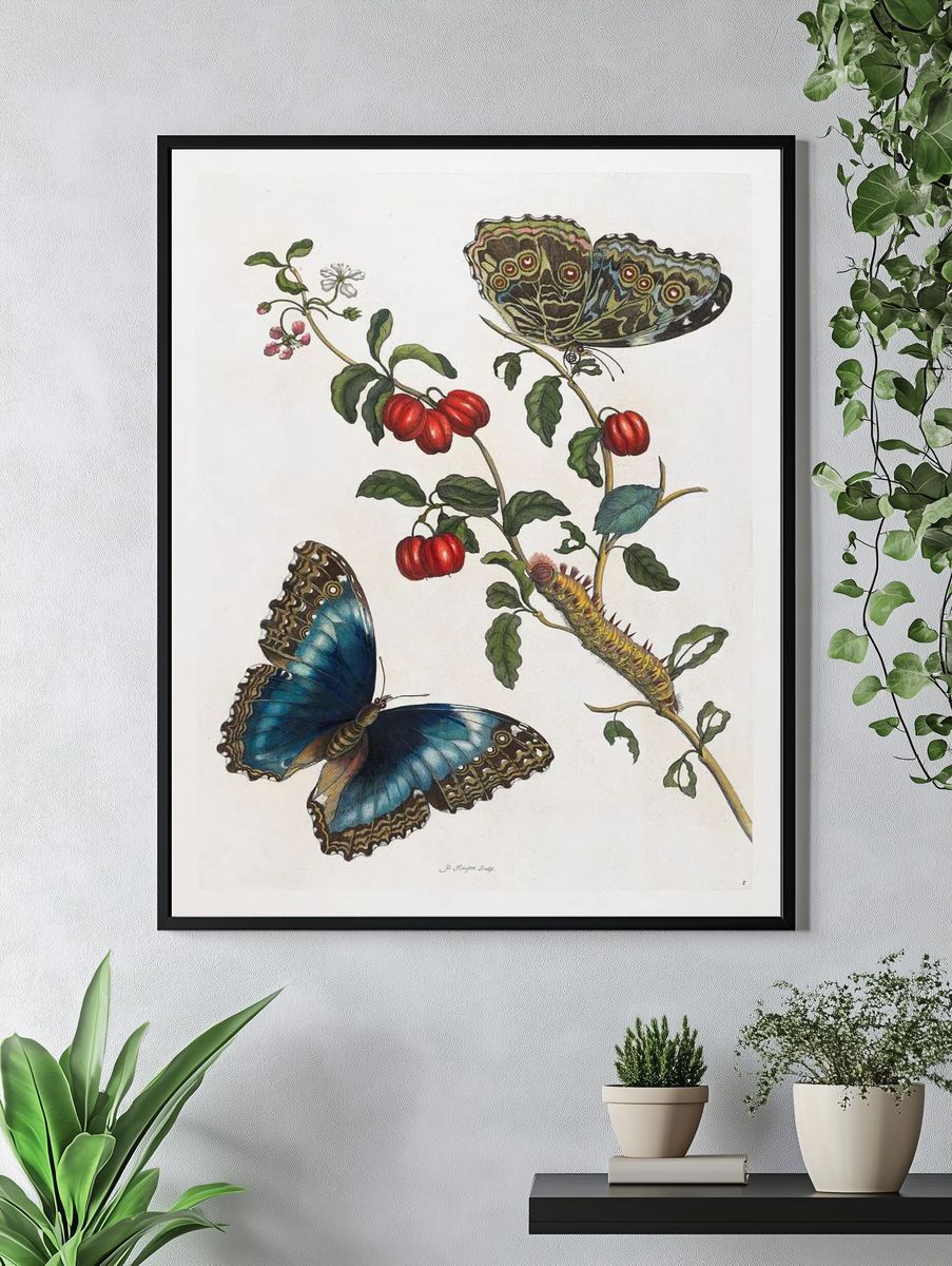 Butterfly and Botanical Study Print. — room view 4
