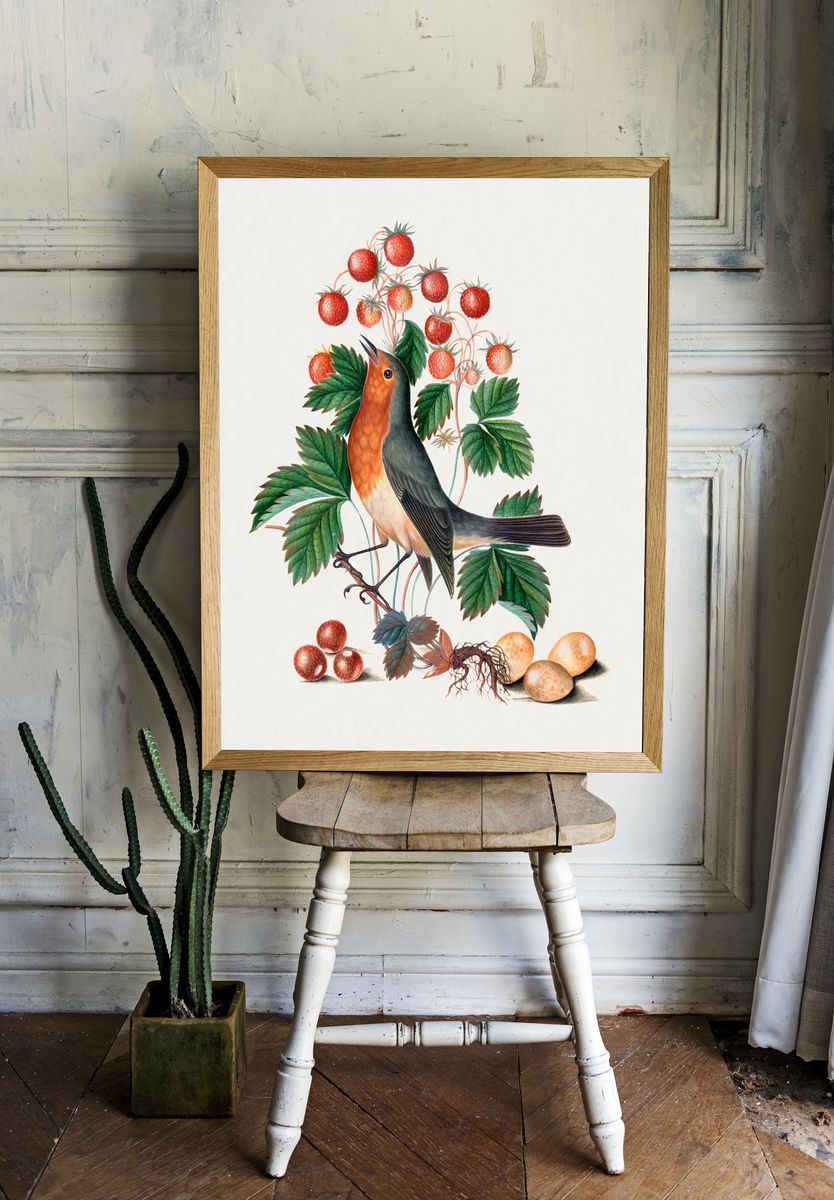 European robin wild strawberry Natural. — room view 1