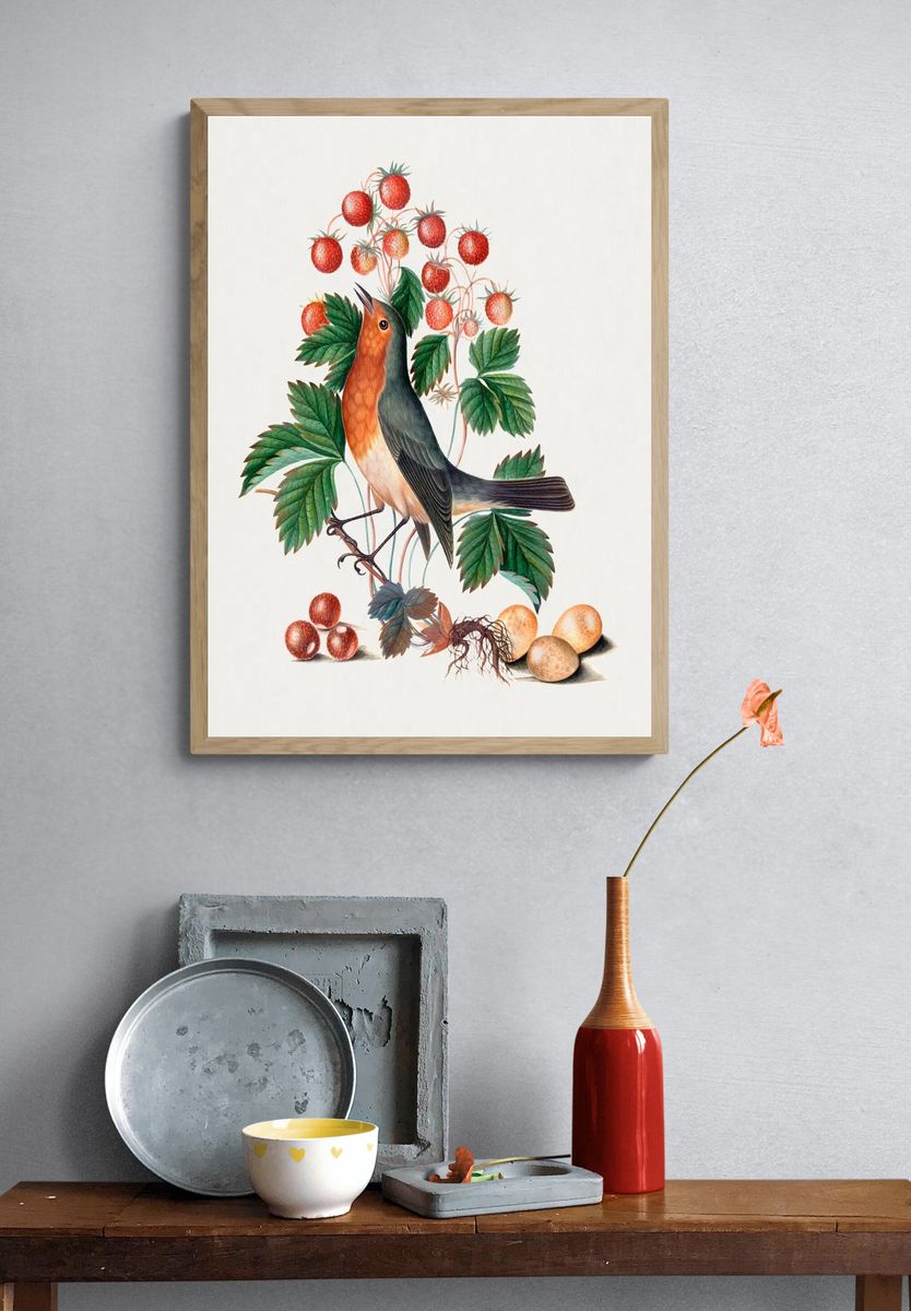 European robin wild strawberry Natural. — room view 3