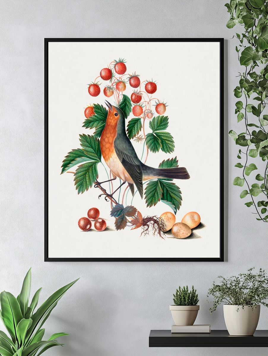 European robin wild strawberry Natural. — room view 4