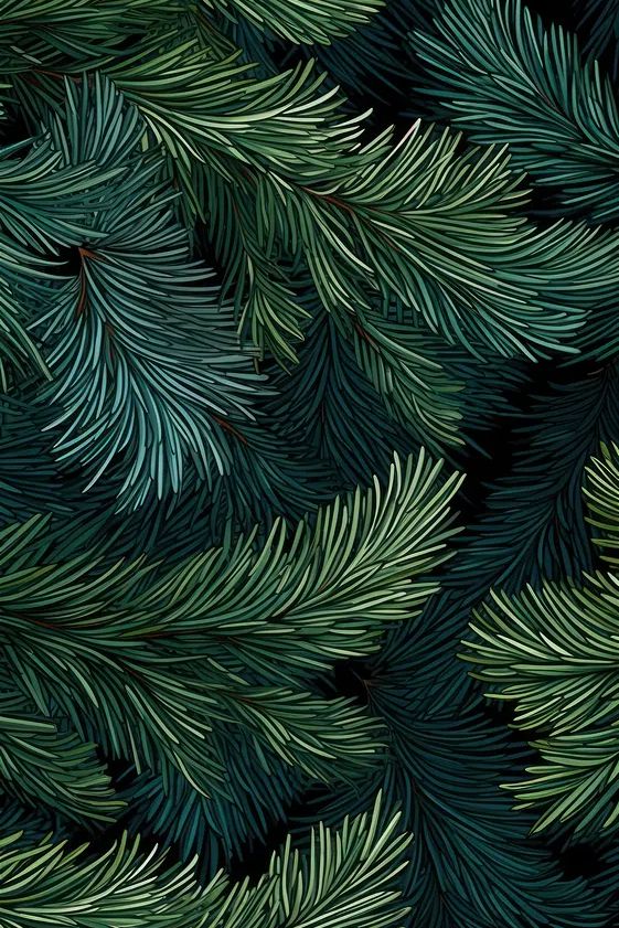 Pine Branches — Botanical Print. poster — botanical art