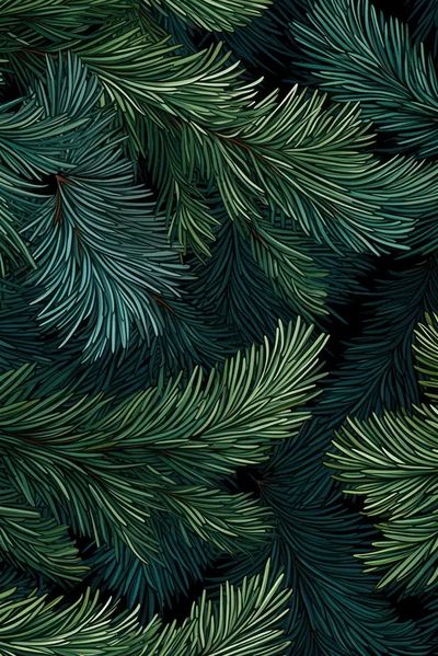Pine Branches — Botanical Print. poster