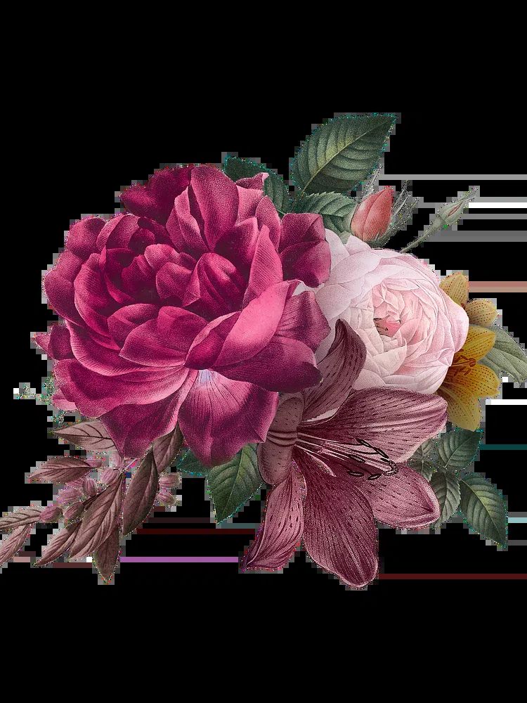 Beautiful hand drawn pink roses. poster detail