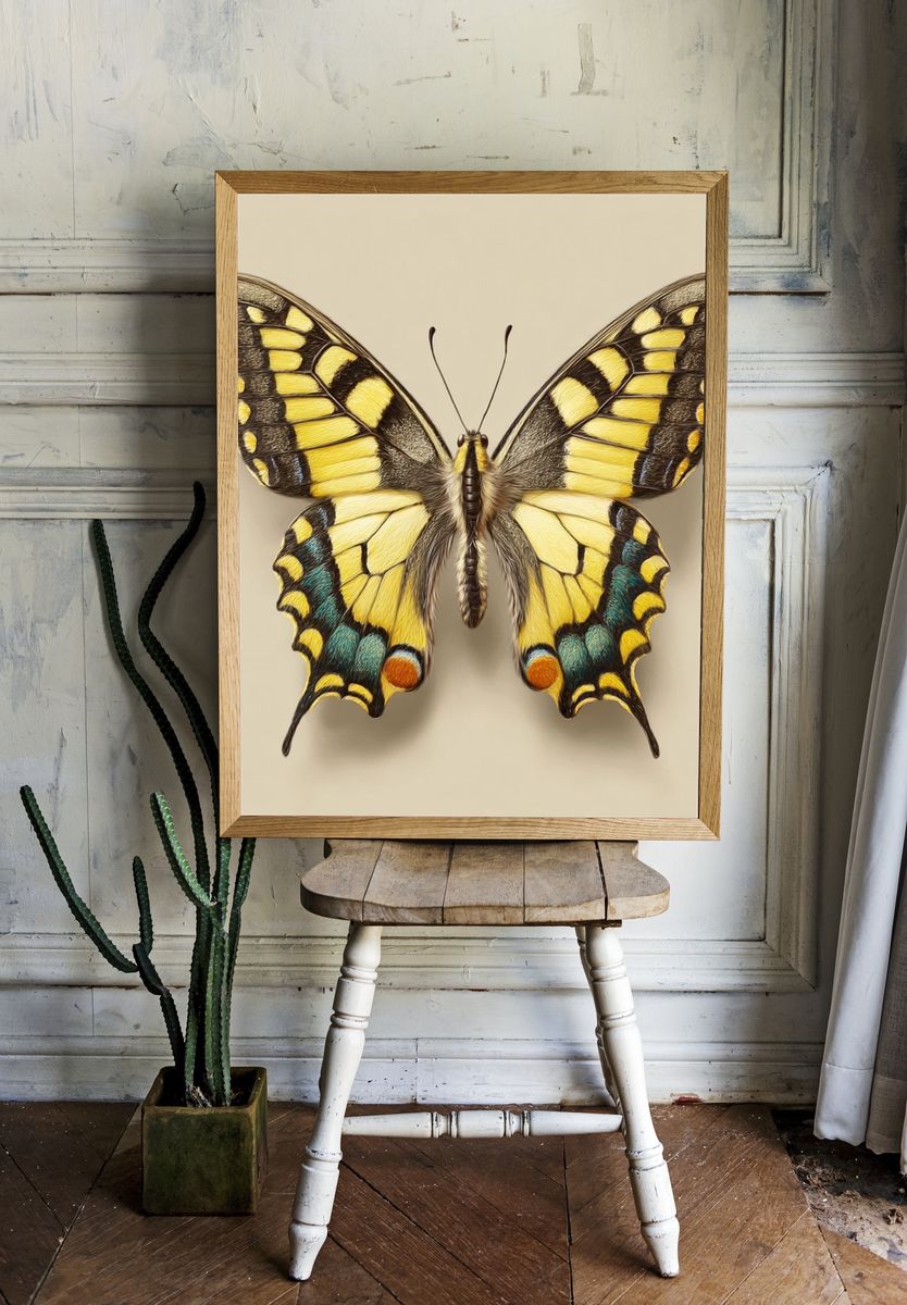 Swallowtail Butterfly Botanical Print. — room view 1
