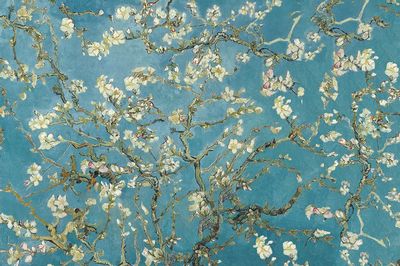 Van Gogh's Almond blossom background. poster print
