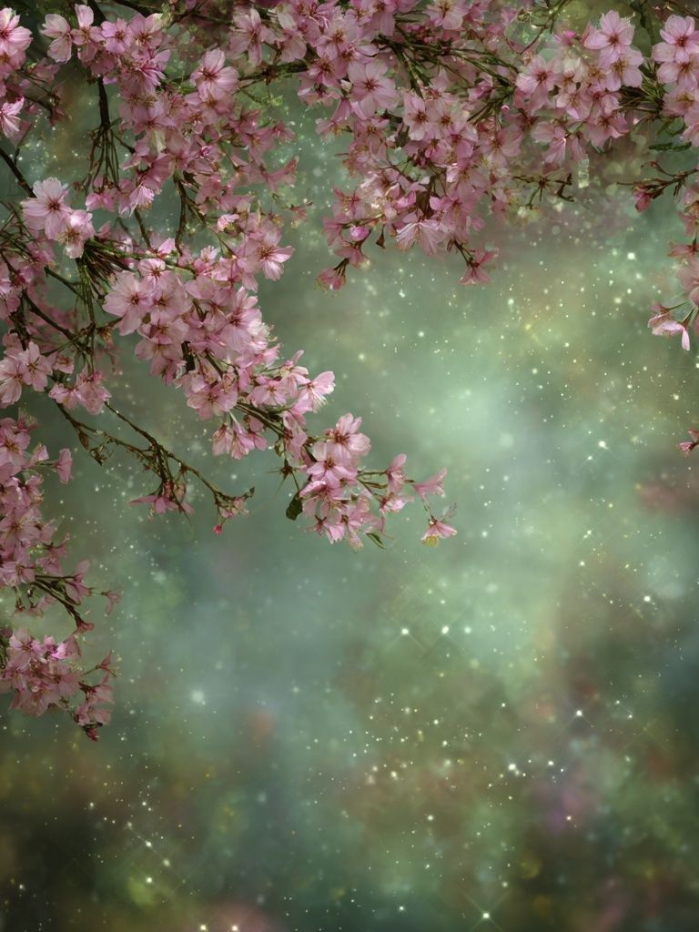 Cherry Blossom Dreamscape Print. poster — botanical art