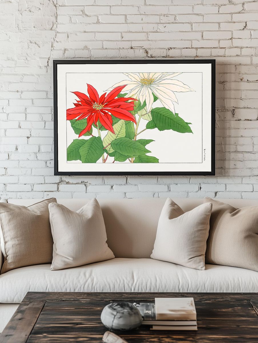 Poinsettia Botanical Illustration Poster. — room view 1