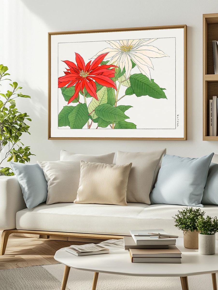Poinsettia Botanical Illustration Poster. — room view 2