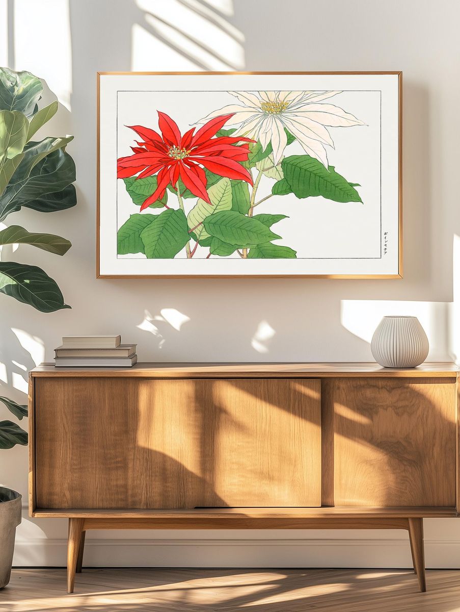 Poinsettia Botanical Illustration Poster. — room view 3