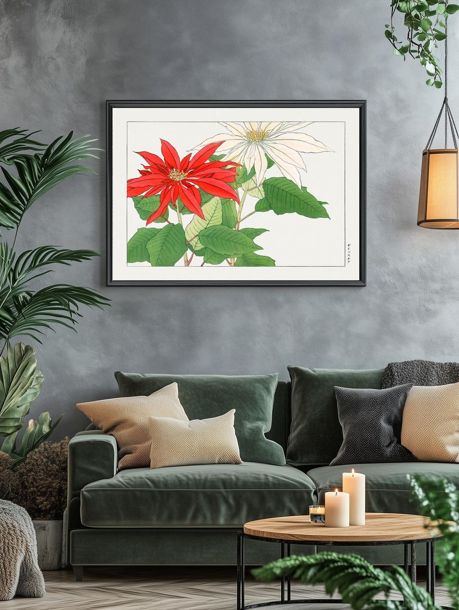Poinsettia Botanical Illustration Poster. — room view 4