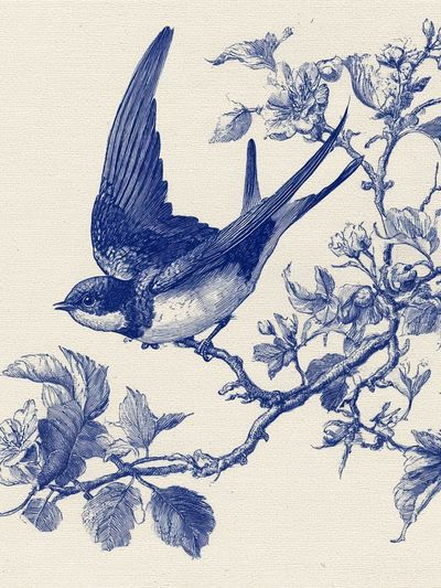 Blue Swallow Botanical Print. poster print