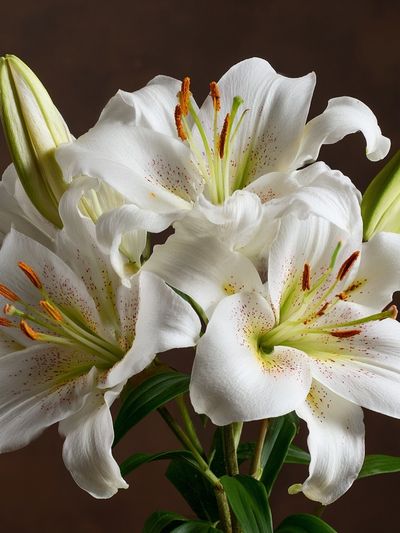 White Lily Bouquet Botanical Print. poster print