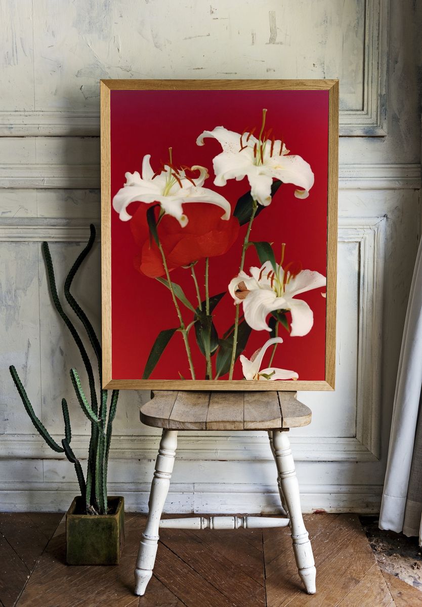 White Lilies on Red Background Poster. — room view 1