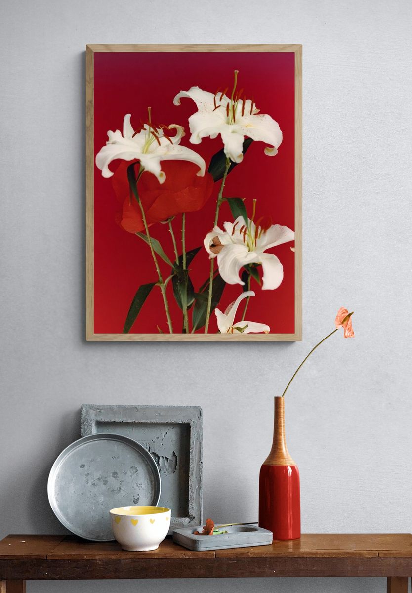 White Lilies on Red Background Poster. — room view 3