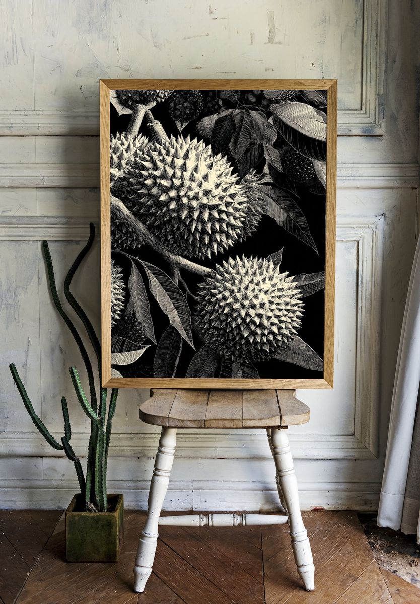 Durian Botanical Ink Poster. — room view 1