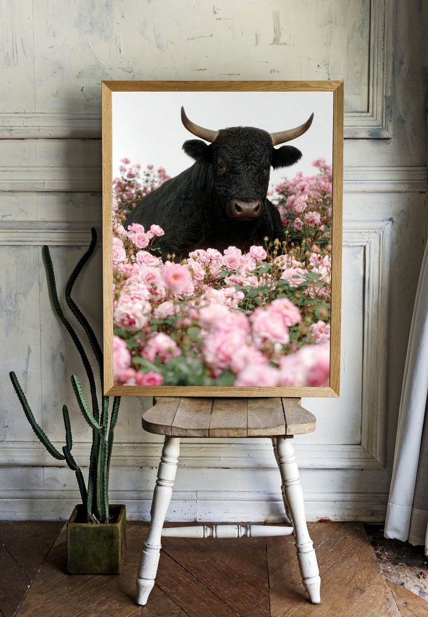 Black Bull in Pink Roses Poster. — room view 1