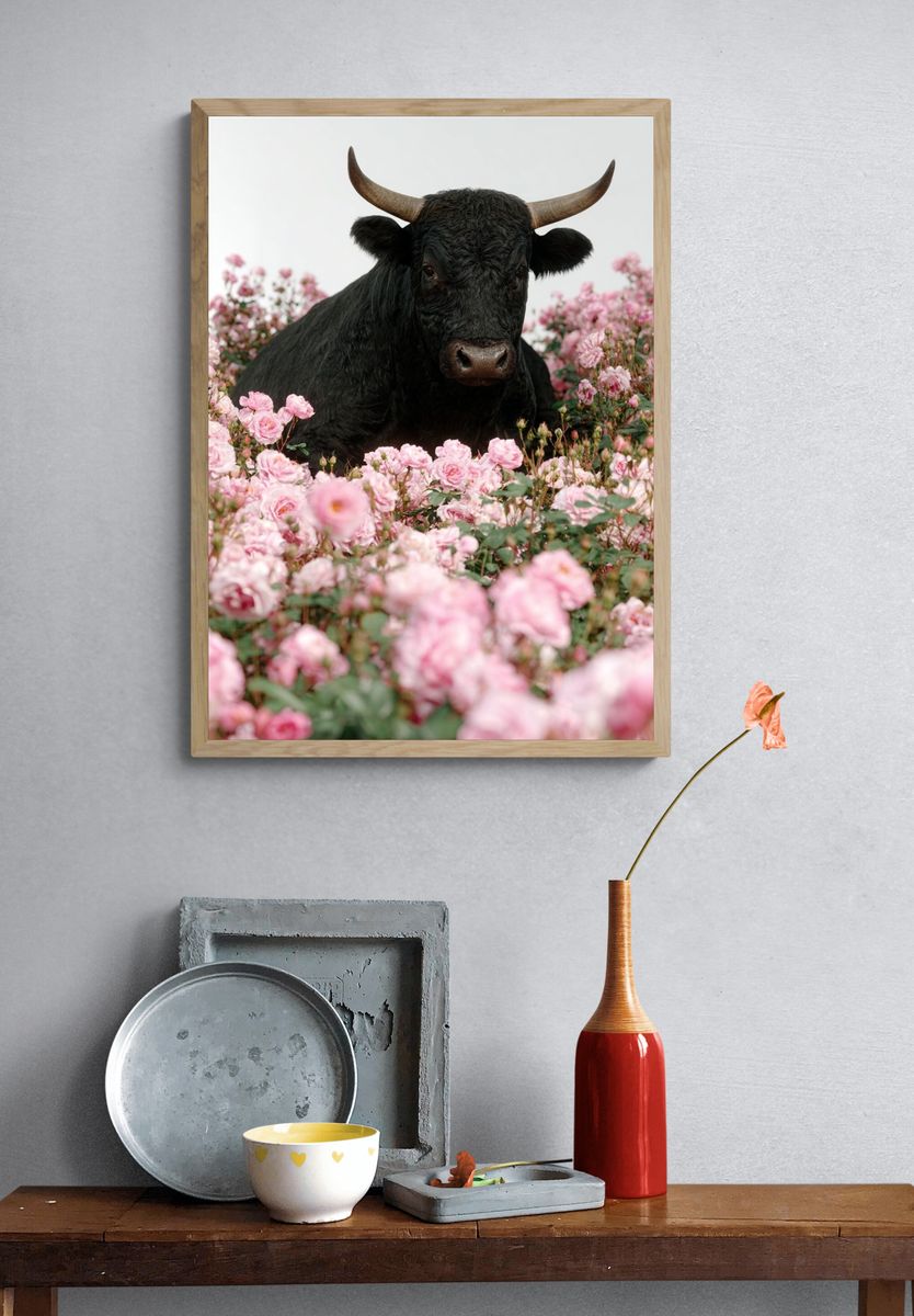 Black Bull in Pink Roses Poster. — room view 3