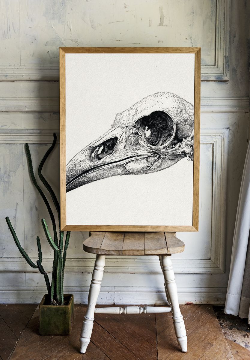 Bird Skull — Fine Art Print. — room view 1