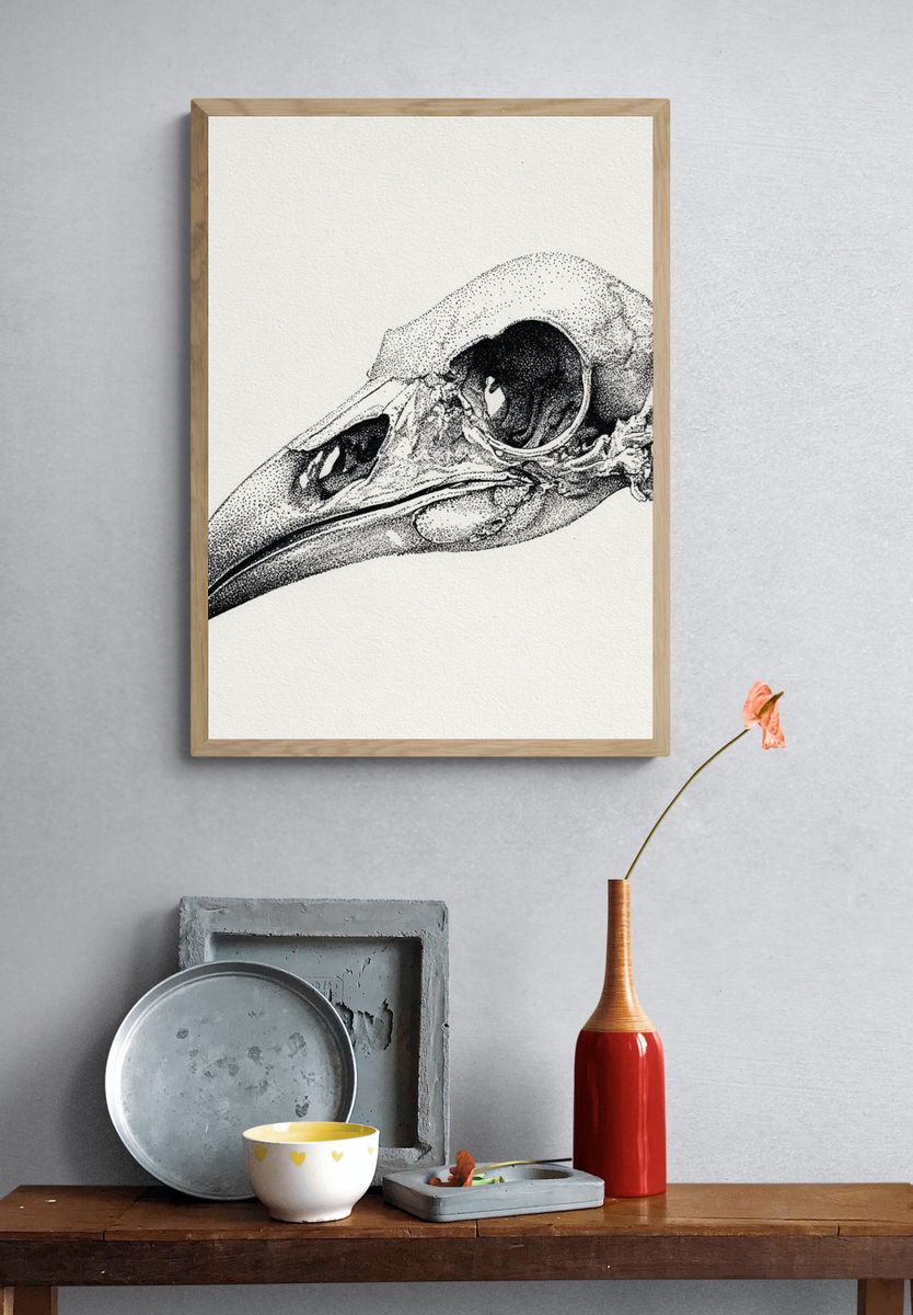 Bird Skull — Fine Art Print. — room view 3