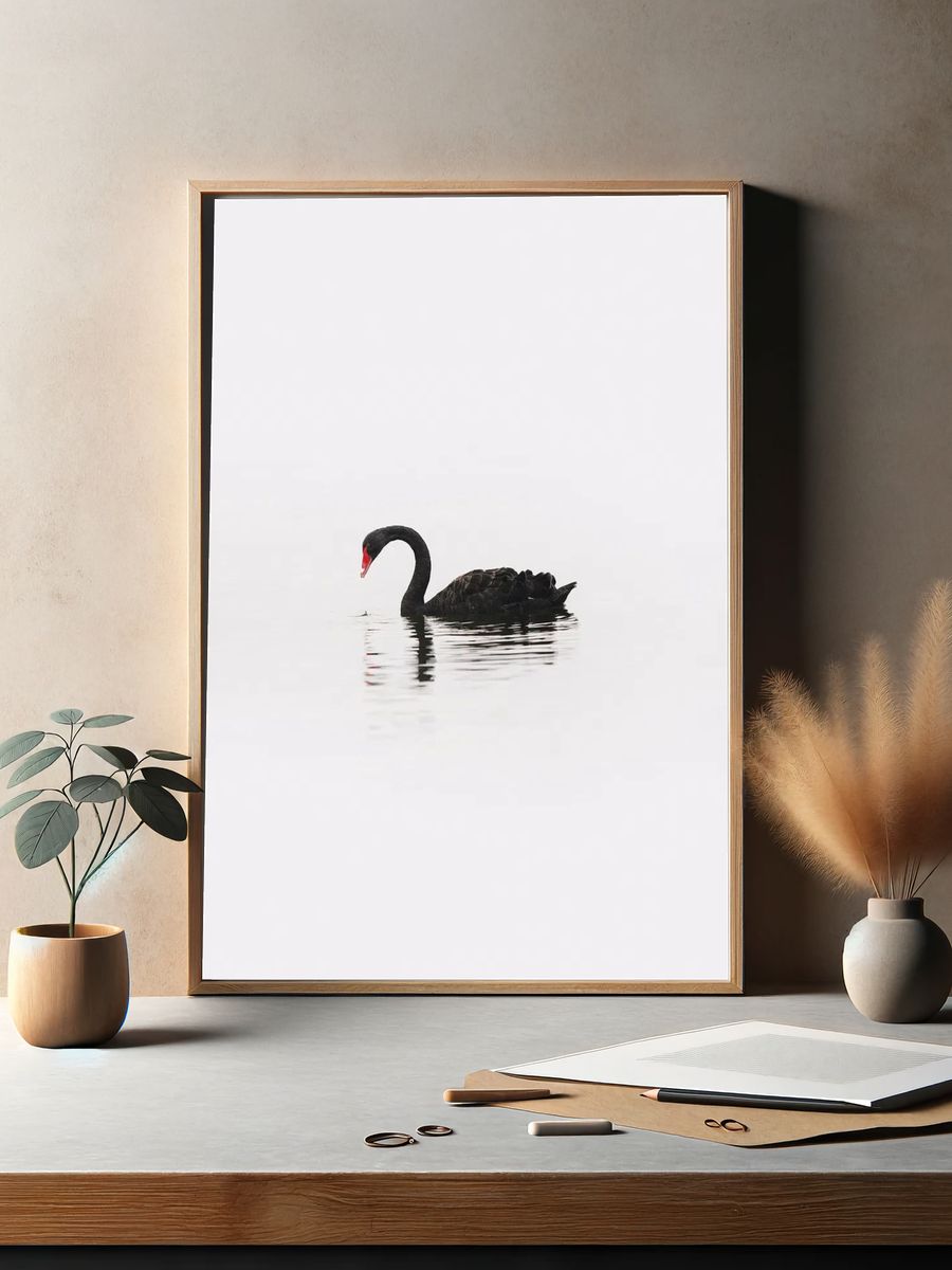 Black Swan Minimalist Photography Poster. — room view 2