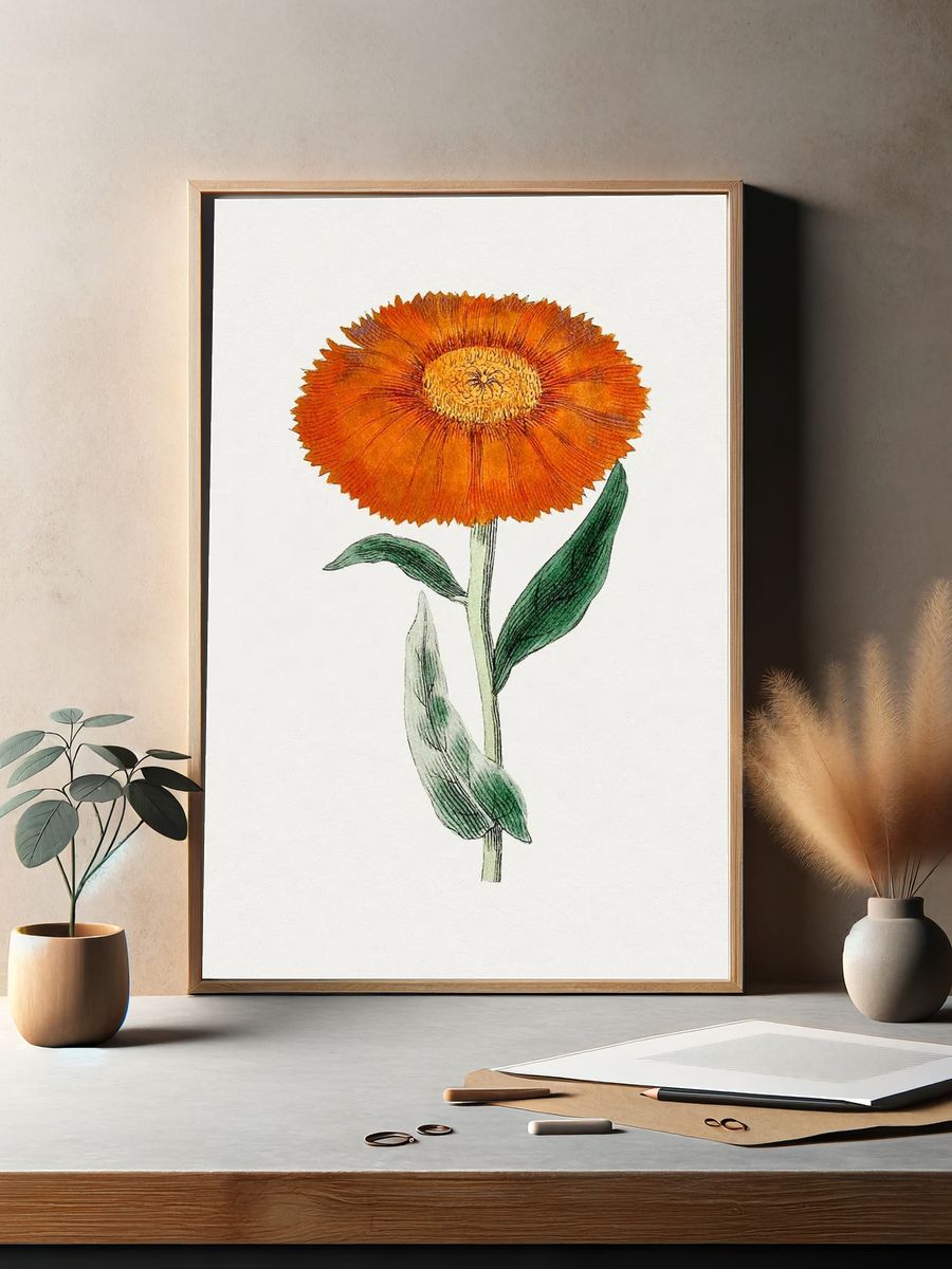 Orange Flower Botanical Poster. — room view 2