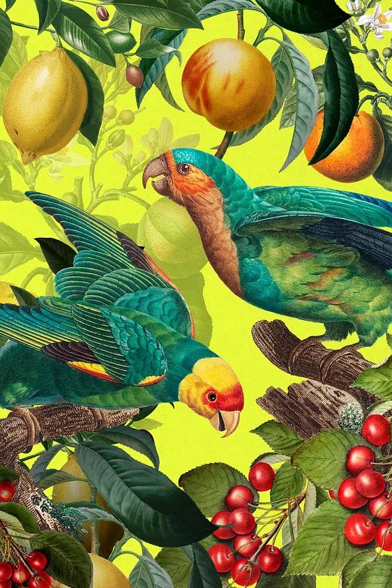 Tropical Parrots and Fruits — Botanical Print. poster detail
